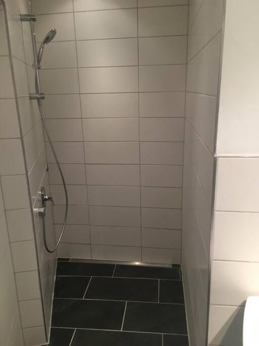 Altbautraum Am Gaertnerplatz 120 M2 Appartement München